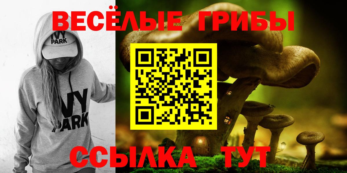 Псилоцибиновые грибы прущие грибы Лесной